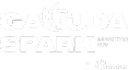 Garuda Spark